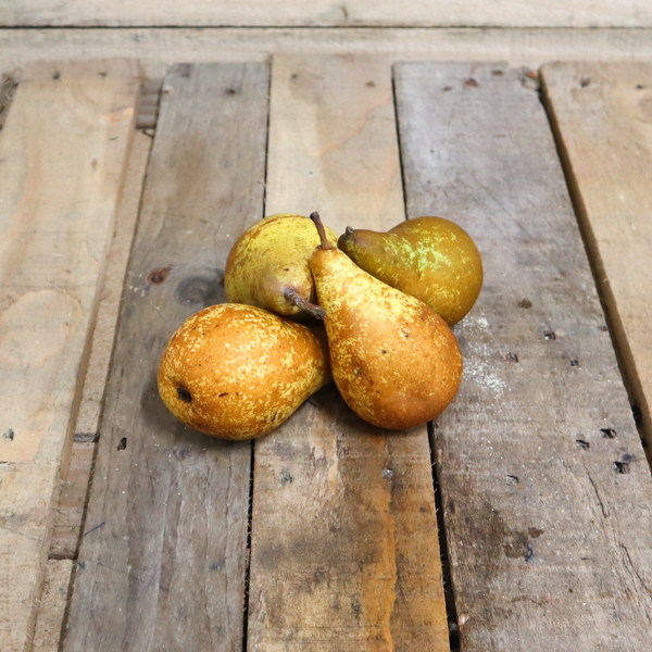 Les Poires Concorde : Un Délice de Douceur et de Croquant 🍐