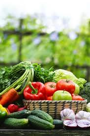 🌞 Les légumes du soleil : éclat, santé et tartes gourmandes